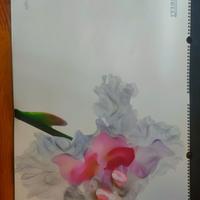 calendario pirello 2004 - n° 18258 - nuovo