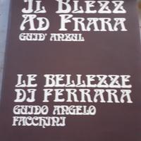 Libro le bellezze di Ferrara guido angelo facchini