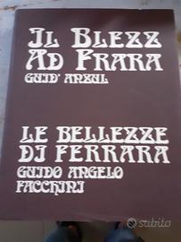 Libro le bellezze di Ferrara guido angelo facchini