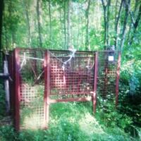 gabbia cattura cinghiale 