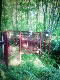 gabbia cattura cinghiale 