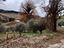 Immagine 5