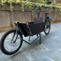 Bici cargo bike Elettrica