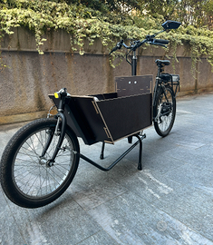 Bici cargo bike Elettrica