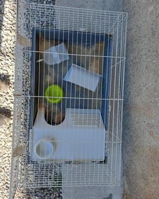 gabbia per coniglio