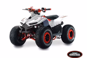 Lem Motor Quad, Grizzly 110cc