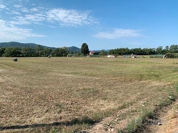 Terreno agricolo