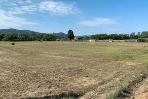 Terreno agricolo