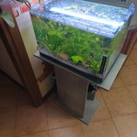 acquario 60 litri 