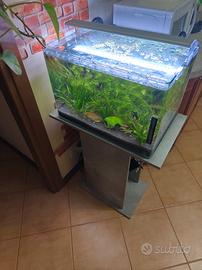 acquario 60 litri 