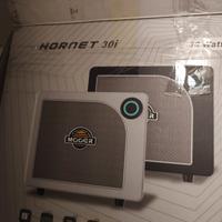 amp Hornet  30 n Marshall fender Gibson 