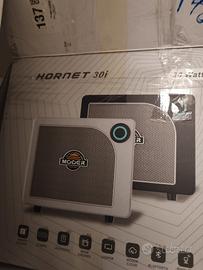 amp Hornet  30 n Marshall fender Gibson 