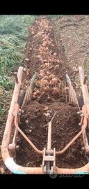 Scavapatate per motocoltivatore pasquali