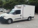 fiat-doblo-frigo