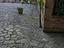 Immagine 16