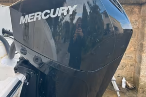 Motori Coppia mercury 200 cv