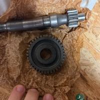 Rapporti Primari 14/32 Polini per Zip Sp