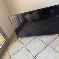 Televisore Sharp 43 pollici