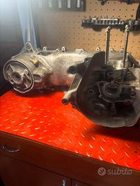 carter minarelli verticale