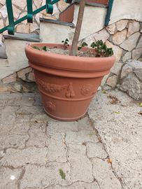 vaso giardino grandissimo