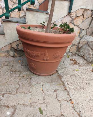 vaso giardino grandissimo