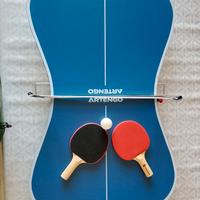 mini tavolo da ping pong