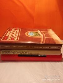 Gabriel Garcia Marquez 