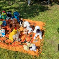 Set 30 Peluches/Pupazzi BIMBI🧸