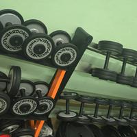 Dumbbell bilanciere pesi panca rack palestra spinn