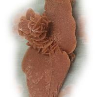 ROSA DEL DESERTO O ROSE DI SABBIA (4)