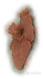 ROSA DEL DESERTO O ROSE DI SABBIA (4)