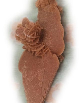 ROSA DEL DESERTO O ROSE DI SABBIA (4)