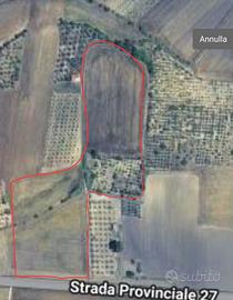 Terreno edificabile zona TARANTINA 40000mq