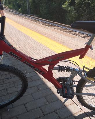 Mountain bike 