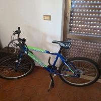 bicicletta wolf errerre