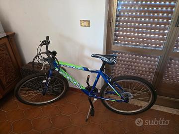 bicicletta wolf errerre