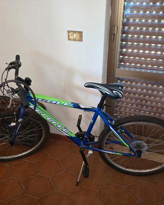 bicicletta wolf errerre