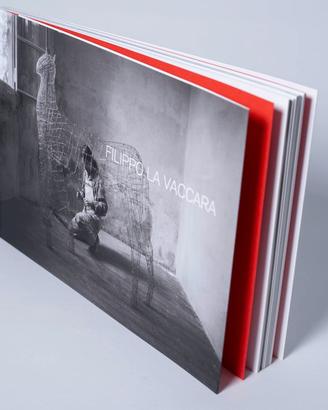 libro monografico Filippo La Vaccara
