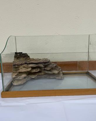 Acquario per tartarughe con lampada riscaldante