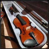 violino