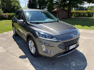 Ford Kuga 1.5 EcoBlue 120 CV 2WD Titanium Business