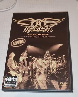 DVD Aerosmith you gotta move 2 dischi live