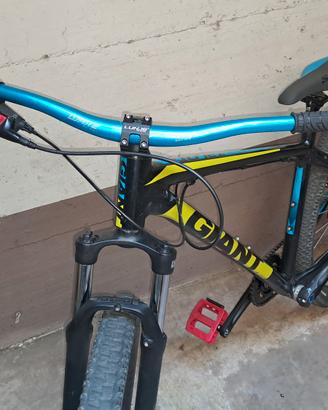 wheelie bike Giant con pedane