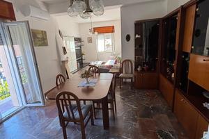 Appartamento nettuno