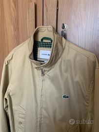 Bomber Lacoste