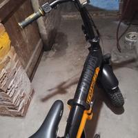 Bici elettrica ducati scrambler