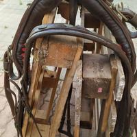 finimenti per carrozza