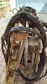 finimenti per carrozza