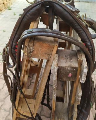 finimenti per carrozza