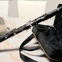 CLARINETTO SIb OQANOCL-350